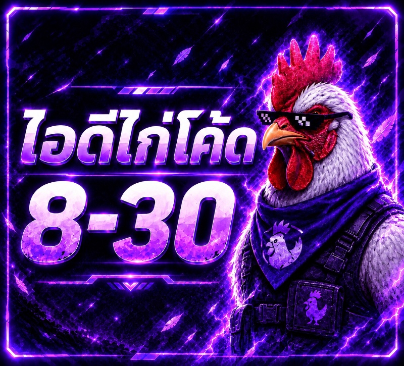 ไก่โค้ดเวล20-30